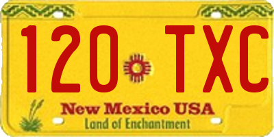 NM license plate 120TXC