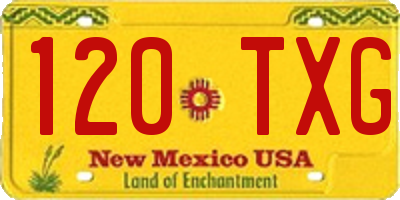 NM license plate 120TXG