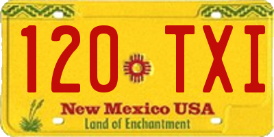 NM license plate 120TXI