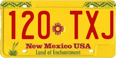 NM license plate 120TXJ