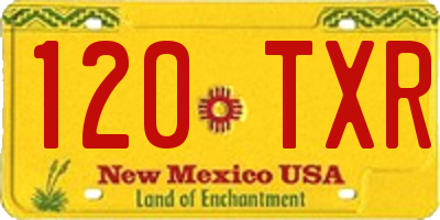NM license plate 120TXR