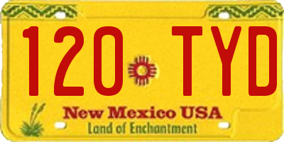NM license plate 120TYD