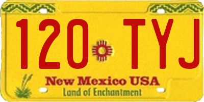 NM license plate 120TYJ