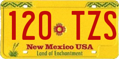 NM license plate 120TZS