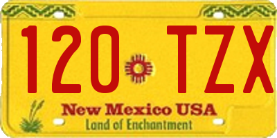 NM license plate 120TZX