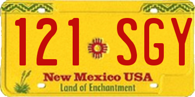 NM license plate 121SGY