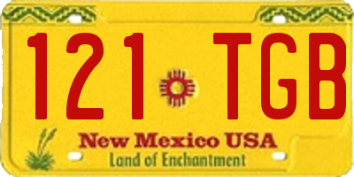 NM license plate 121TGB