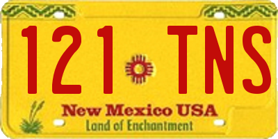 NM license plate 121TNS
