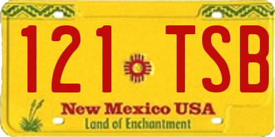 NM license plate 121TSB