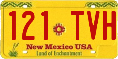 NM license plate 121TVH