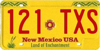 NM license plate 121TXS