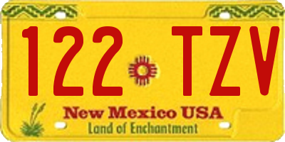 NM license plate 122TZV