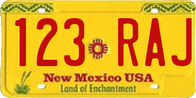 NM license plate 123RAJ