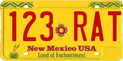 NM license plate 123RAT