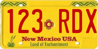 NM license plate 123RDX