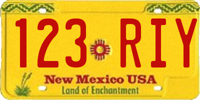 NM license plate 123RIY