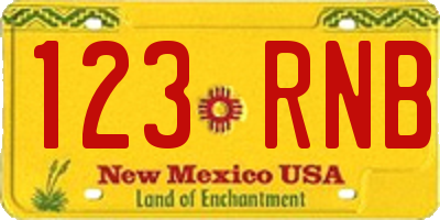 NM license plate 123RNB