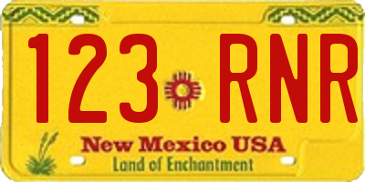 NM license plate 123RNR