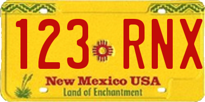 NM license plate 123RNX