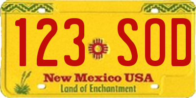 NM license plate 123SOD
