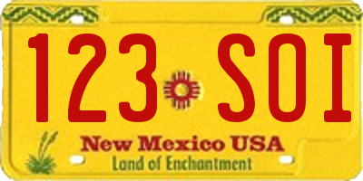 NM license plate 123SOI