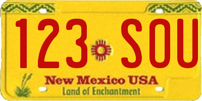 NM license plate 123SOU