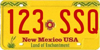 NM license plate 123SSQ