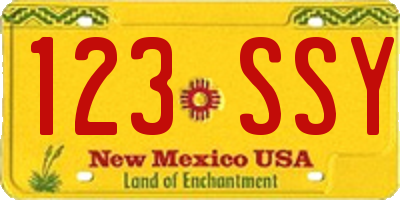 NM license plate 123SSY