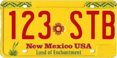 NM license plate 123STB