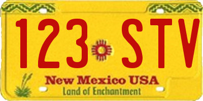 NM license plate 123STV