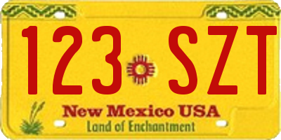 NM license plate 123SZT