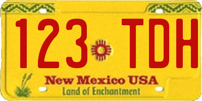 NM license plate 123TDH