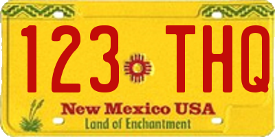 NM license plate 123THQ