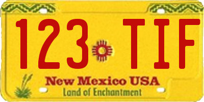 NM license plate 123TIF