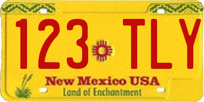 NM license plate 123TLY
