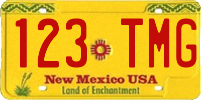 NM license plate 123TMG