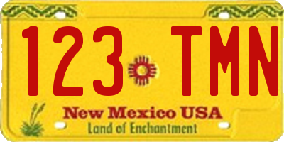 NM license plate 123TMN