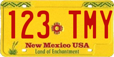 NM license plate 123TMY