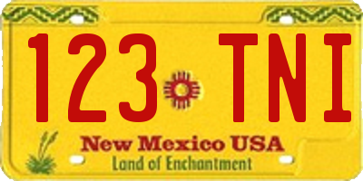 NM license plate 123TNI