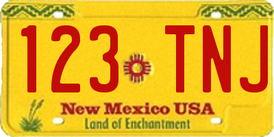 NM license plate 123TNJ