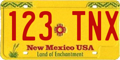NM license plate 123TNX