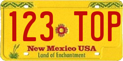 NM license plate 123TOP