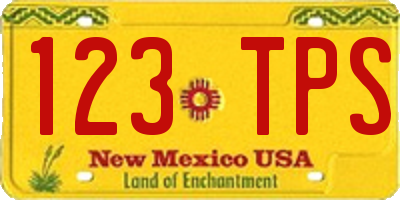 NM license plate 123TPS