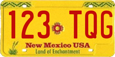 NM license plate 123TQG