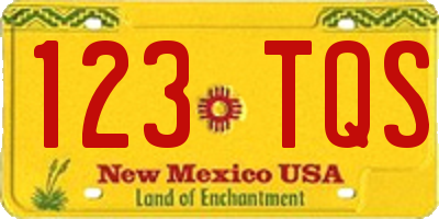 NM license plate 123TQS