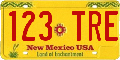 NM license plate 123TRE