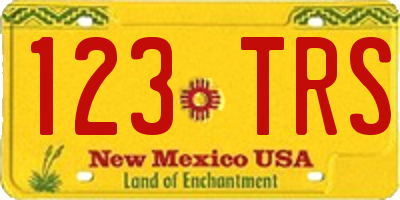 NM license plate 123TRS