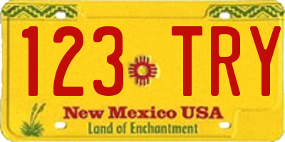 NM license plate 123TRY