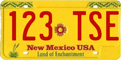 NM license plate 123TSE
