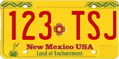 NM license plate 123TSJ